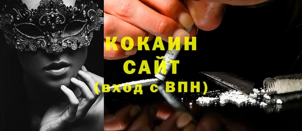 прущие грибы Абаза