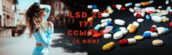 прущие грибы Абаза