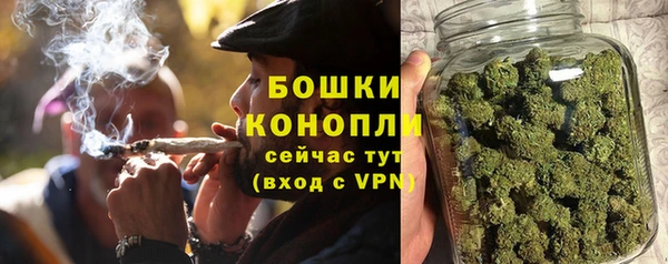 PSILOCYBIN Алзамай