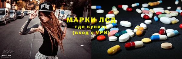 прущие грибы Абаза