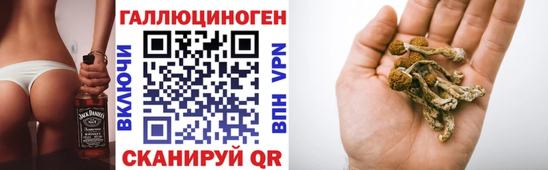 Галлюциногенные грибы Cubensis Чадан